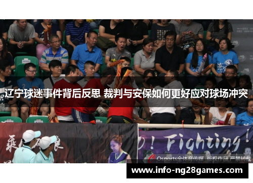 辽宁球迷事件背后反思 裁判与安保如何更好应对球场冲突