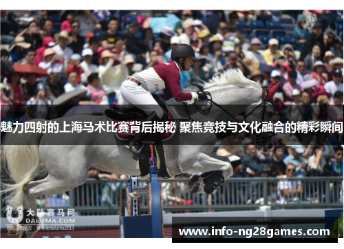 魅力四射的上海马术比赛背后揭秘 聚焦竞技与文化融合的精彩瞬间